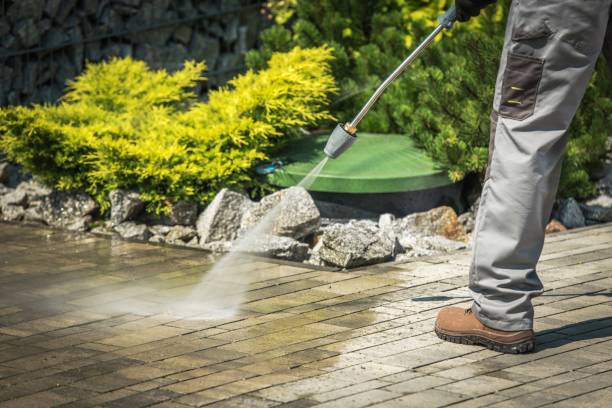 Best Gutter Cleaning  in Smyrna, GA